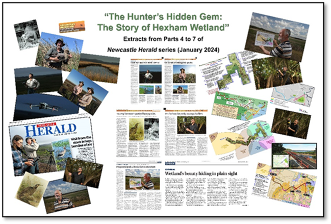 The Hunters Hidden Gem - The Story of Hexham Wetland